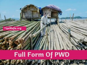 PWD क्या होता है | PWD Full Form in Hindi