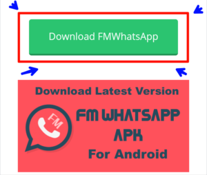 How to download and update FM WhatsApp
